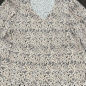Adrianna Papell Cream and Black Polka Dot Blouse